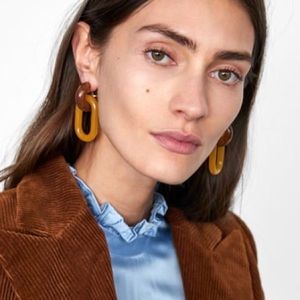 NWT Zara mixed resin earrings